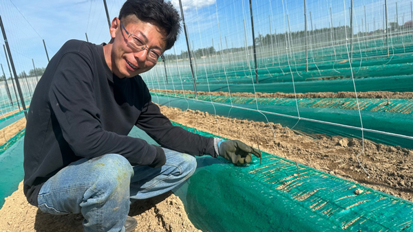 長芋「とかち太郎」を生産する舛屋さん