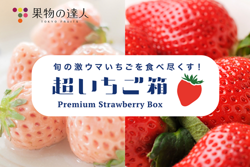 旬の国産いちご最大12種食べ比べ「超いちご箱」販売「果物の達人」