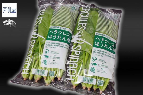 循環型野菜「ヘラクレスほうれん草」