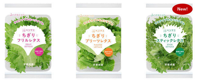 植物工場野菜ブランド『ベジタス』の商品