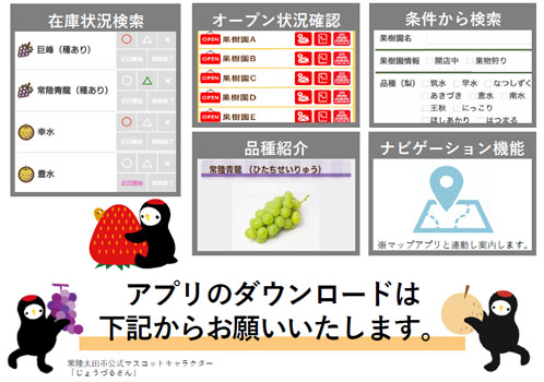 観光果樹園検索アプリ「KAJUAL」