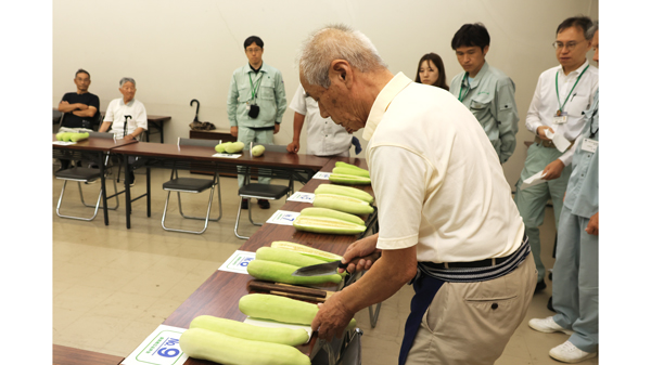 ＪＡたかつき清水支店で開かれた「服部越瓜」の品評会