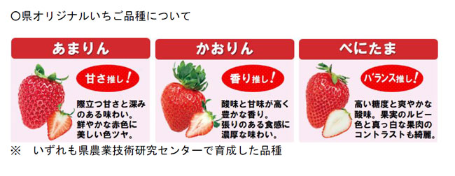 新品種「べにたま」など埼玉県産いちごの魅力を発信