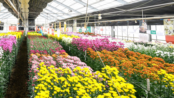 展示会場となった圃場の様子