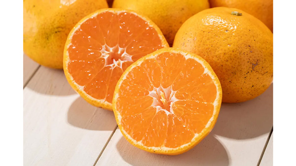 濃甘あめ玉みかん