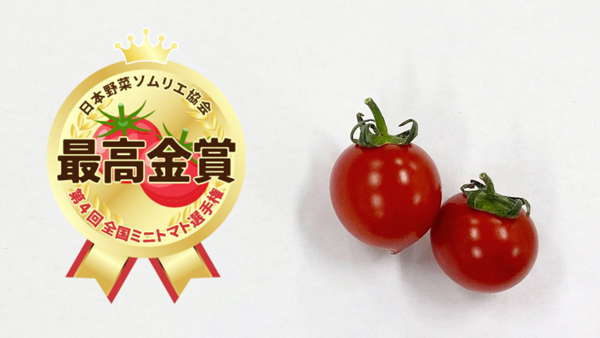 最高金賞のクラシックトマト「ショパン」