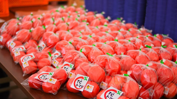 大玉で香り豊かな高糖度トマト