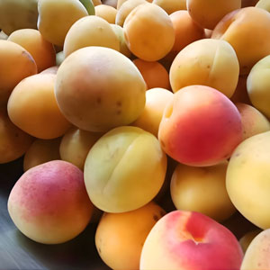 豆産の樹上で完熟した梅を使用