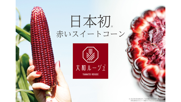 奈良発の赤いスイートコーン「大和ルージュ」全国で収穫開始　大和農園