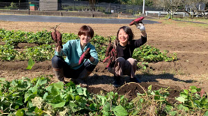 5種類のさつまいもを味わう農業体験「手掘り・焼き芋食べ比べ」　Blueberry HILLS あつぎ