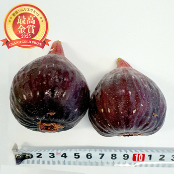 最高金賞の「ぶどうを肥料にしたしあわせ無花果」