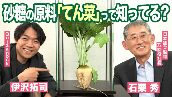 ニッテン×QuizKnock　コラボ動画を公開　日本甜菜製糖.jpg