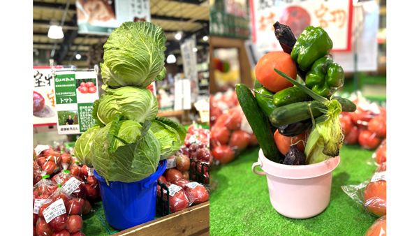 バケツにつむつむ「嬬恋キャベツ419」（左）、「バケツにつむつむ・夏野菜」