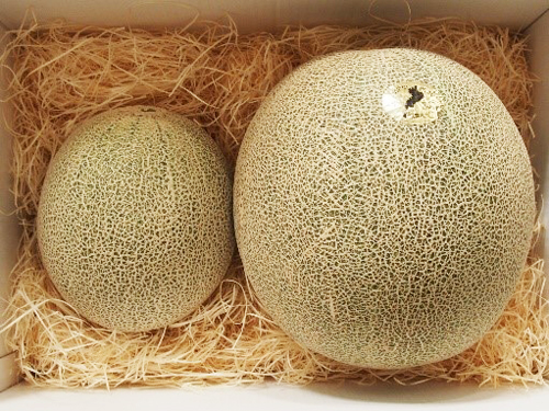 4Lの通常サイズ（左）と電解水素水平均サイズ（6L）