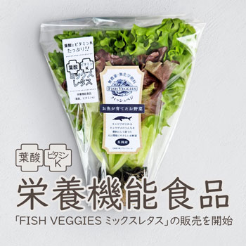 アクアポニックスで栽培された栄養機能食品のリーフレタス「FISH VEGGIES ミックスレタス」