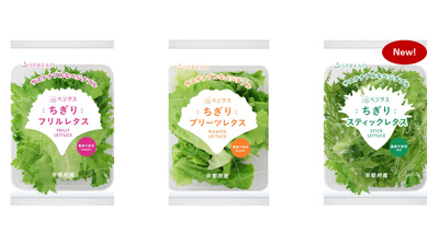 植物工場野菜『ベジタス』から「ちぎり スティックレタス」新発売　スプレッド