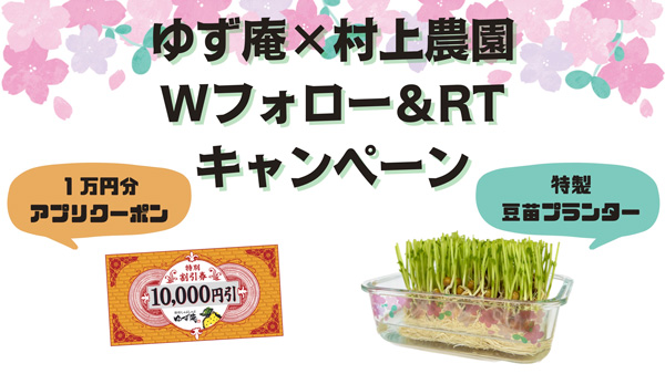 「ゆず庵」春期間限定しゃぶしゃぶに「豆苗」提供　コラボキャンペーン実施中　村上農園