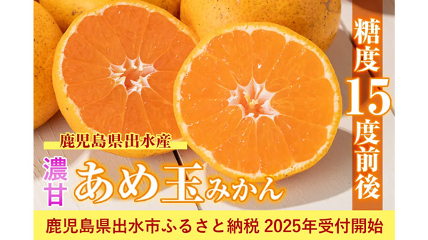 糖度15度前後「濃甘あめ玉みかん」ふるさと納税で受付開始　鹿児島県出水市.jpg
