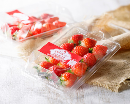 大阪いちご「はるかすまいる」