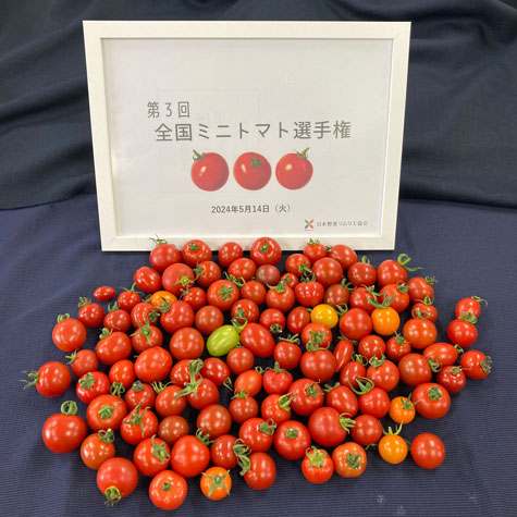エントリーされた全102品のミニトマト