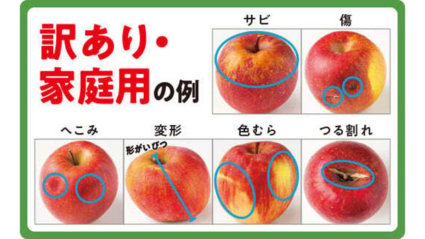霜被害りんごの特別販売会「銀座NAGANO」で10日に開催　長野県飯綱町