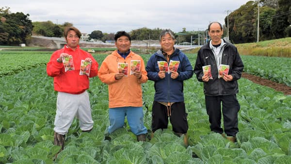 三浦市のキャベツ生産者「高清会」の鈴木健一氏、清水孝之氏、加藤直樹氏、鈴木靖浩氏（左から）