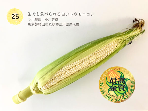 第1回トウモロコシ選手権で最高金賞の「生でも食べられる白いトウモロコシ」