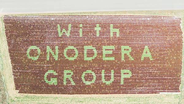 「With ONODERA GROUP」の文字が圃場を彩った