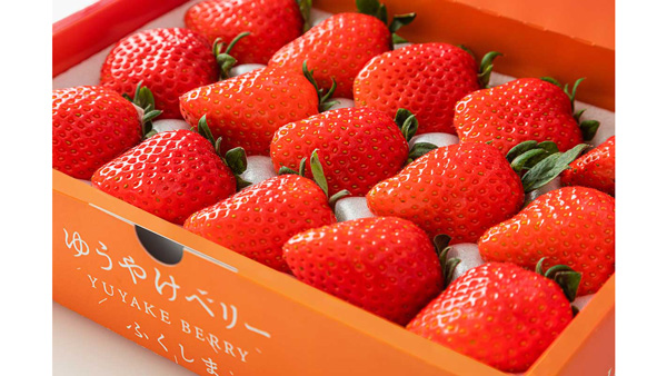 福島の新しいいちご「ゆうやけベリー」