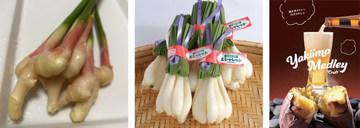 みずみずしい「葉生姜」、新鮮なシャキシャキ感のある「エシャレット」、季節により品種が変わる発泡酒「焼き芋メドレー」