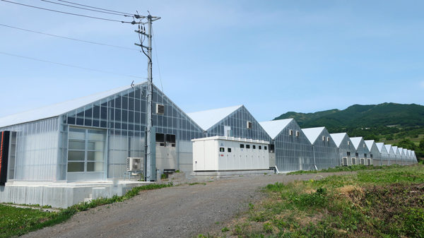北海道初進出「北北海道伊達生産センター
