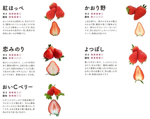 人気品種のいちごを食べ比べ