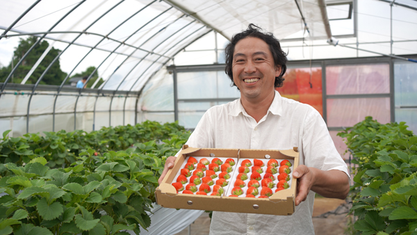 入手困難な「夏秋いちご」企業向けに販売開始　Japan Fruits
