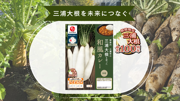 三浦市・ＪＡ三浦市と開発「三浦大根を使った和風カレー」発売　石井食品