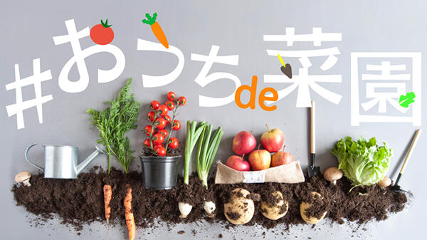 外出自粛の時間を野菜作りで充実　新サービス「おうちde菜園」開始　GreenSnap
