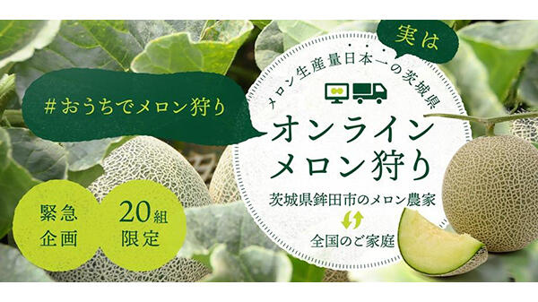 親子向けに日本初のオンラインメロン狩り企画ー茨城県
