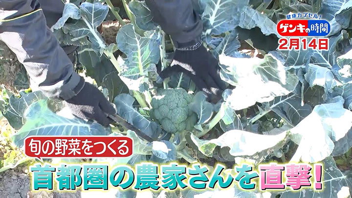 旬の野菜をつくる農家を直撃「2月の旬食材」の健康パワー紹介　CBCテレビ