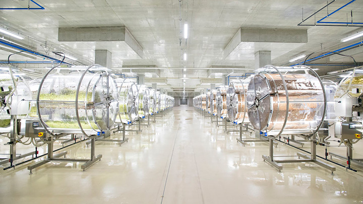 山梨県北杜市に完成した完全人工光型植物工場「スーパースプラウトファクトリー」