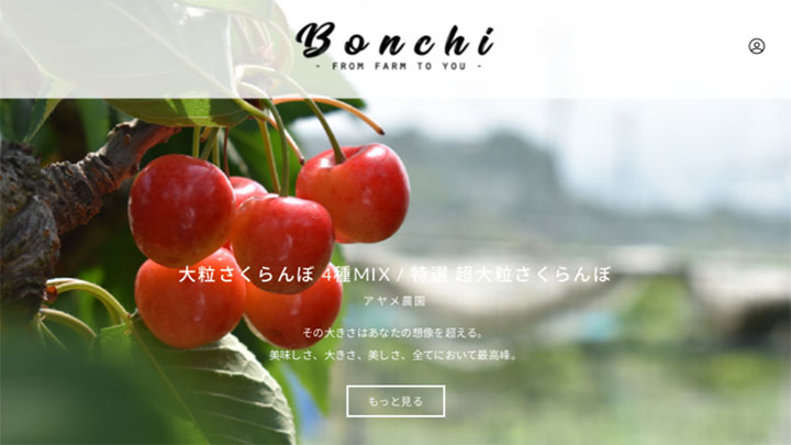 果物専門産直EC「Bonchi」サイトリニューアル　山梨県産大粒さくらんぼ受注開始