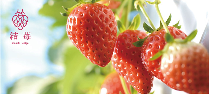 食育・地域づくりをコンセプトに静岡の地産地消いちご「結苺」誕生