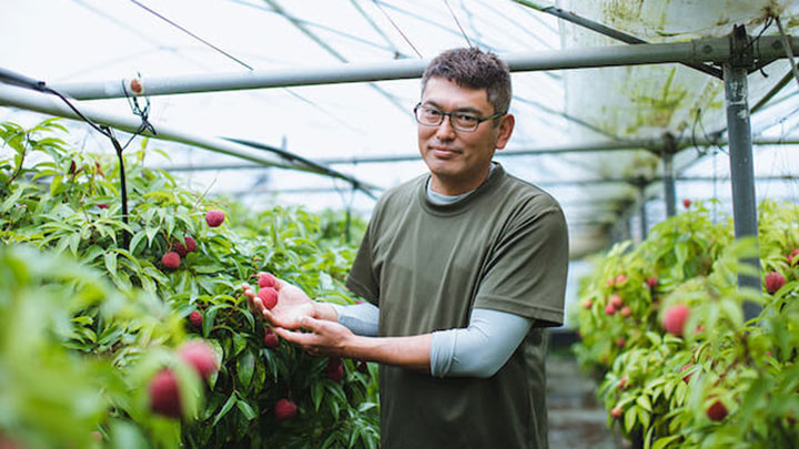 新富ライチ栽培の先駆けとなった生産者・森さん