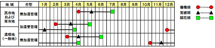 バカラiQ作型図