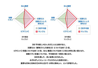 メロン分析結果