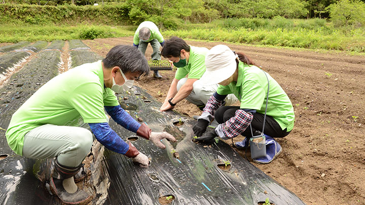 開園後、初めての定植作業の様子