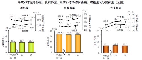 平成29年産春野菜、夏秋野菜、たまねぎの作付面積、収穫量及び出荷量（全国）