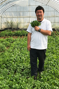 契約産地の一つ、阪急泉南グリーンファームで収穫したパクチーをもつ島田部長