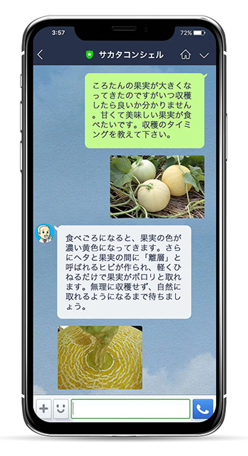 プロに相談できる「サカタコンシェル(R)」がリニューアル。LINEで園芸相談ができるサービスを4月から開始