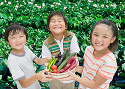 学校花壇＆菜園応援プロジェクト2016～みんなで花と野菜を元気に育てよう！～住友化学園芸（株）