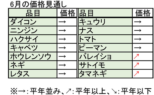 土物類高値で推移へ 6月野菜価格見通し