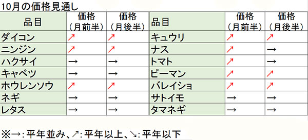 8月台風で根菜は肥大不足　10月の野菜価格見通し